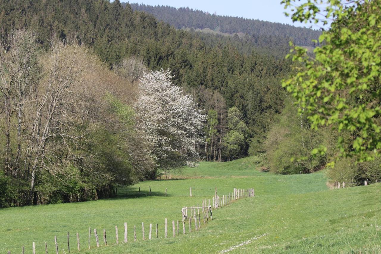 Le Clos Du Cerf - Le Sous-Bois Stoumont Eksteriør billede